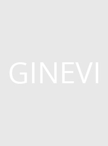 2013-09-03-Ginevi_cover